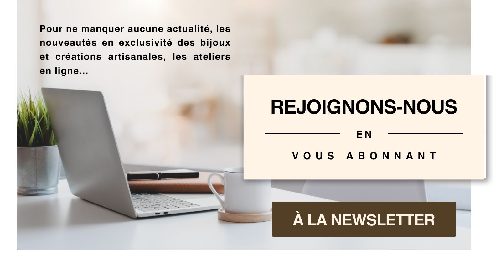 NEWSLETER CARROUSEL